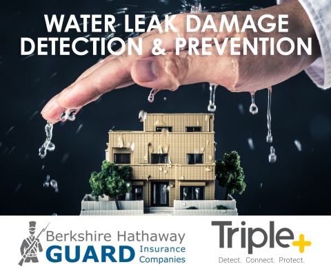 Triple+ and Berkshire Hathaway GUARD Insurance Companies partner on smart water leak prevention pilot project