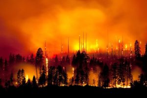 Insurtech start-up Cape Analytics releases new technology to reduce wildfire insurance risk