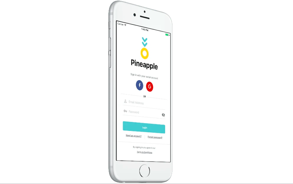 Profiling Pineapple: The South African insurtech app aiming to make insurance social again
