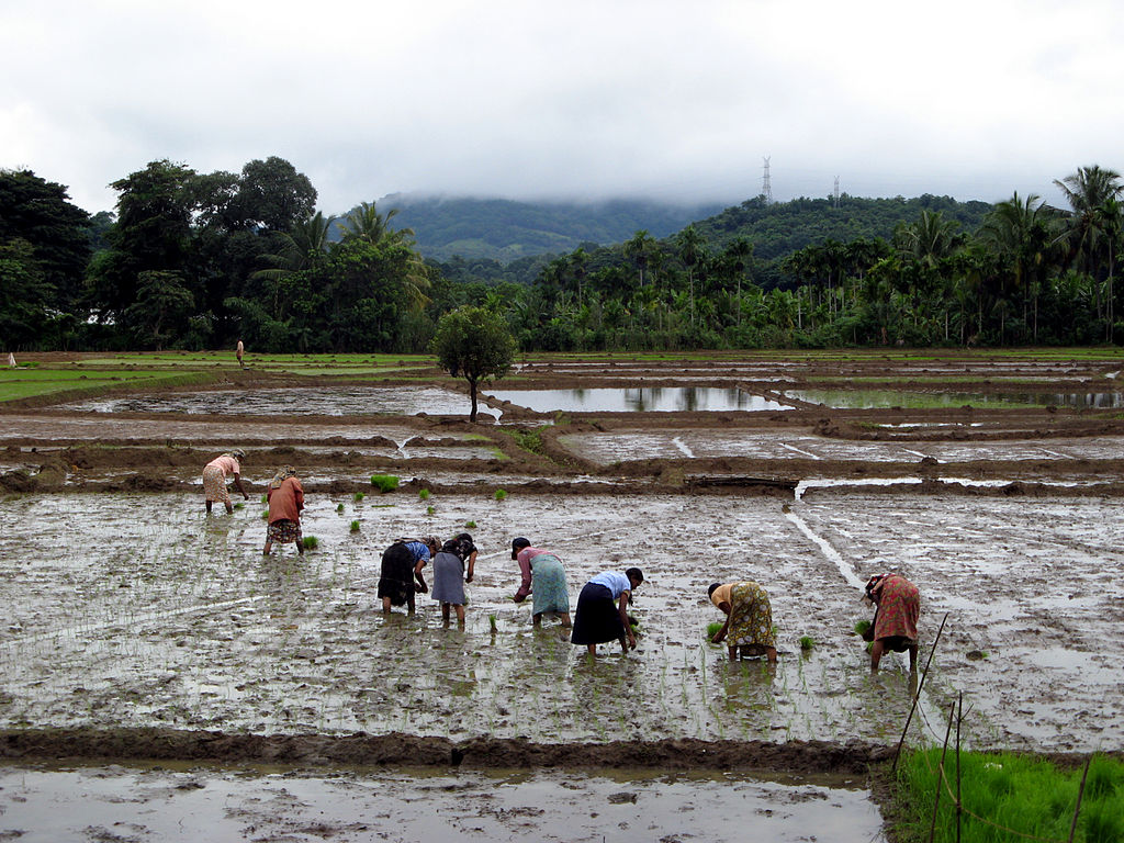 Aon, Etherisc and Oxfam launch blockchain for crop insurance in Sri Lanka