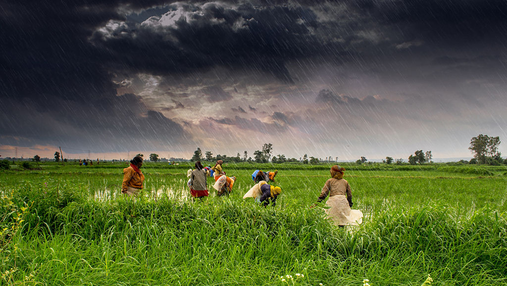 AIR Worldwide releases risk model to cover major crops in India against extreme weather